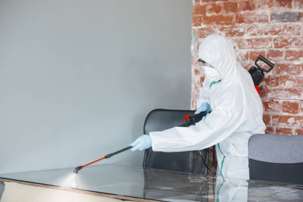 Best Water Damage & Mold Remediation in Redmond, OR